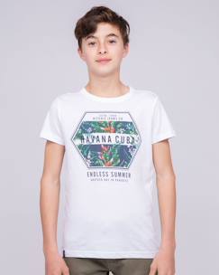 Garçon-T-shirt, polo, sous-pull-T-shirt col rond pur coton nibou garçon