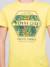 T-shirt col rond pur coton nibou garçon Blanc+Jaune+Vert 7 - vertbaudet enfant 