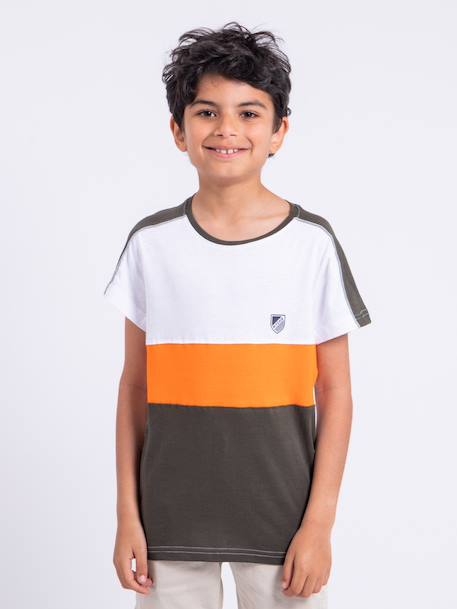 T-shirt manches courtes pur coton nabalia garçon Bleu marine+Kaki+Vert 5 - vertbaudet enfant 