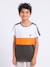 T-shirt manches courtes pur coton nabalia garçon Bleu marine+Kaki+Vert 5 - vertbaudet enfant 