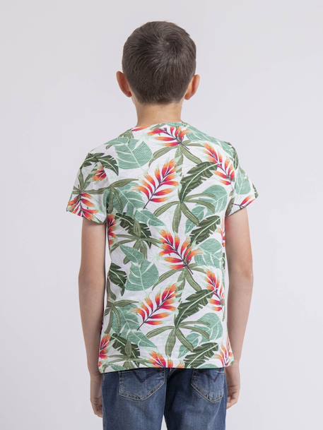 T-shirt col rond nirindo garçon Bleu+Vert 6 - vertbaudet enfant 