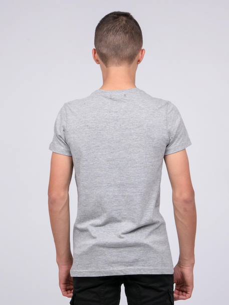 T-shirt col rond pur coton japing garçon Bleu marine+Gris chiné 6 - vertbaudet enfant 