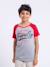 T-shirt manches courtes col rond pur coton nechin garçon Bleu marine+Rouge+Vert 5 - vertbaudet enfant 