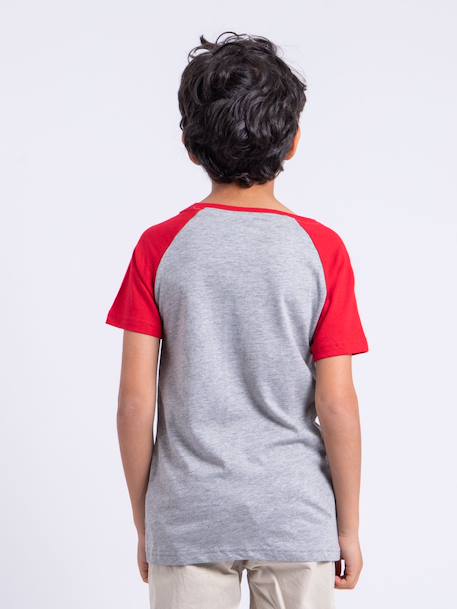 T-shirt manches courtes col rond pur coton nechin garçon Bleu marine+Rouge+Vert 6 - vertbaudet enfant 