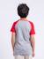 T-shirt manches courtes col rond pur coton nechin garçon Bleu marine+Rouge+Vert 6 - vertbaudet enfant 