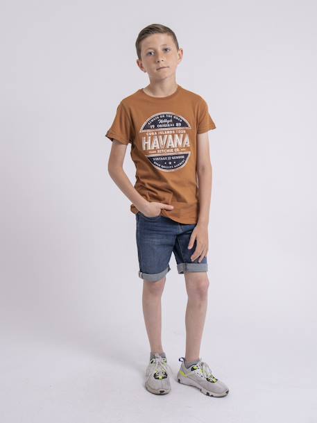T-shirt col rond pur coton numatis garçon Bleu marine+Camel+Vert 8 - vertbaudet enfant 