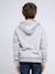 Sweat zippé capuche wamin garçon Beige+Gris clair+Kaki+Vert+Violet 6 - vertbaudet enfant 