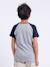 T-shirt manches courtes col rond pur coton nechin garçon Bleu marine+Rouge+Vert 2 - vertbaudet enfant 