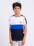 T-shirt manches courtes pur coton nabalia garçon Bleu marine+Kaki+Vert 1 - vertbaudet enfant 