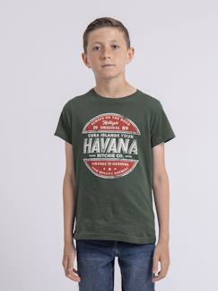Garçon-T-shirt, polo, sous-pull-T-shirt-T-shirt col rond pur coton numatis garçon