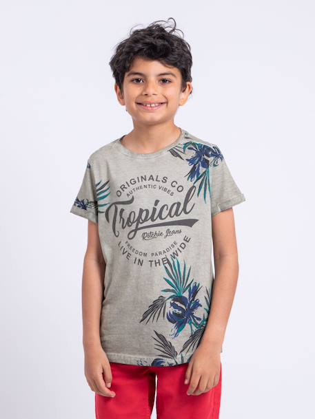 T-shirt manches courtes col rond pur coton nerwik garçon Beige+Kaki 1 - vertbaudet enfant 