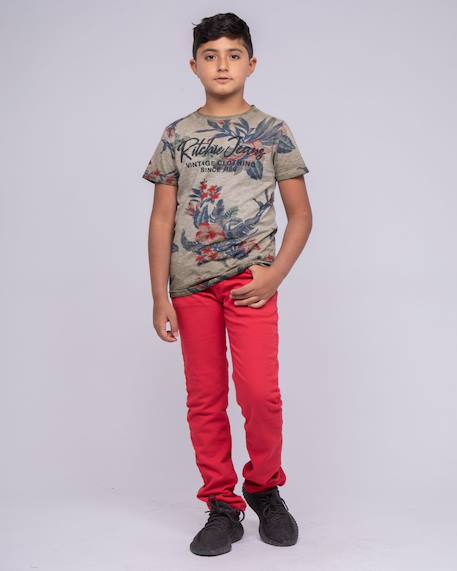 T-shirt col rond pur coton motifs nalko garçon Beige+Kaki 8 - vertbaudet enfant 