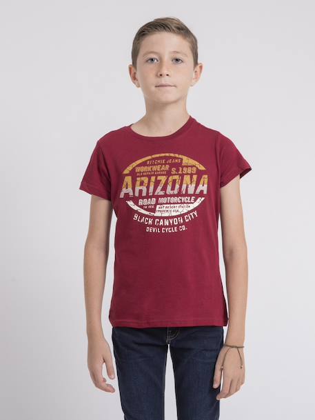 T-shirt col rond pur coton jacraig garçon Bleu marine+Bordeaux+Kaki 5 - vertbaudet enfant 