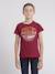 T-shirt col rond pur coton jacraig garçon Bleu marine+Bordeaux+Kaki 5 - vertbaudet enfant 