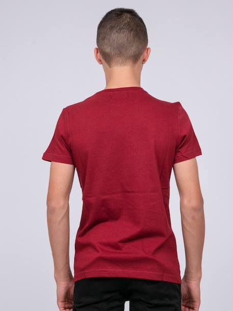 T-shirt col rond pur coton jooster garçon Bordeaux+Kaki 2 - vertbaudet enfant 