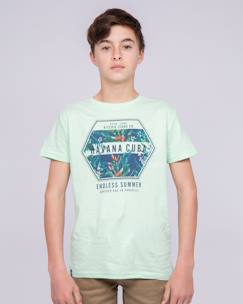 Garçon-T-shirt, polo, sous-pull-T-shirt-T-shirt col rond pur coton nibou garçon