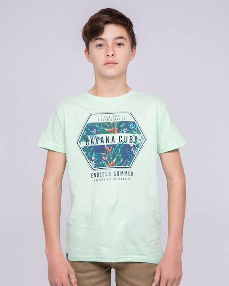 T-shirt col rond pur coton nibou garçon Blanc+Jaune+Vert 9 - vertbaudet enfant 