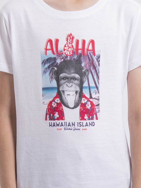 T-shirt col rond nipagolo garçon Blanc+Bleu marine+Kaki 2 - vertbaudet enfant 