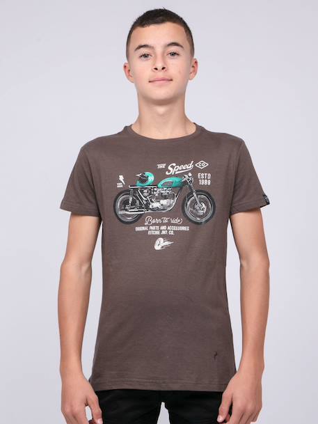 T-shirt col rond pur coton joumea garçon Bordeaux+Gris foncé+Kaki 9 - vertbaudet enfant 