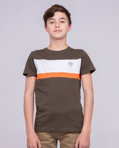 Garçon-T-shirt, polo, sous-pull-T-shirt-T-shirt col rond pur coton namlet garçon