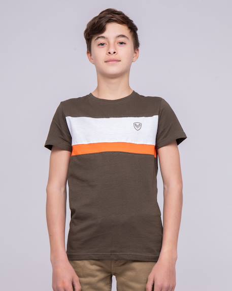 Garçon-T-shirt col rond pur coton namlet garçon