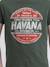 T-shirt col rond pur coton numatis garçon Bleu marine+Camel+Vert 11 - vertbaudet enfant 