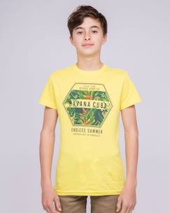 Garçon-T-shirt, polo, sous-pull-T-shirt-T-shirt col rond pur coton nibou garçon