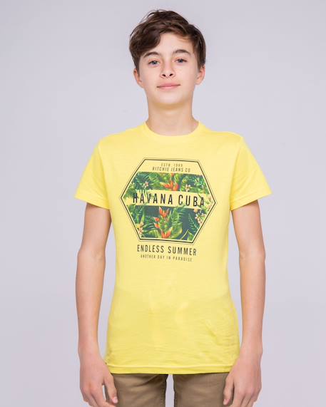 T-shirt col rond pur coton nibou garçon Blanc+Jaune+Vert 5 - vertbaudet enfant 