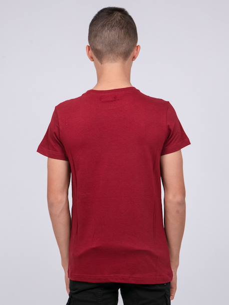 T-shirt col rond pur coton joumea garçon Bordeaux+Gris foncé+Kaki 2 - vertbaudet enfant 