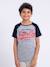T-shirt manches courtes col rond pur coton nechin garçon Bleu marine+Rouge+Vert 1 - vertbaudet enfant 