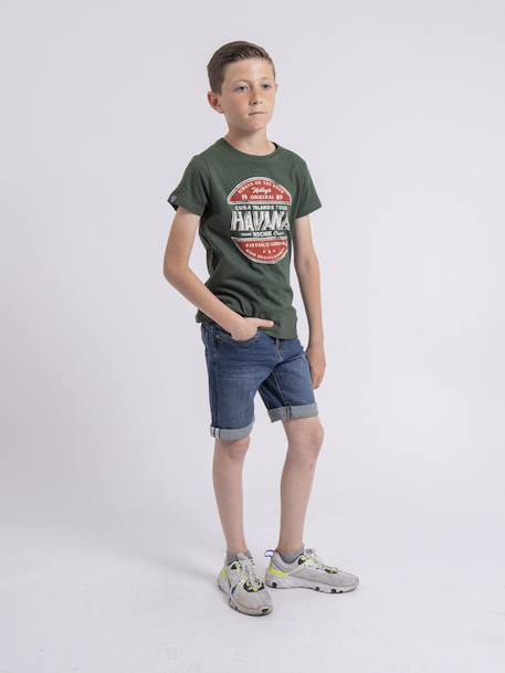 T-shirt col rond pur coton numatis garçon Bleu marine+Camel+Vert 12 - vertbaudet enfant 