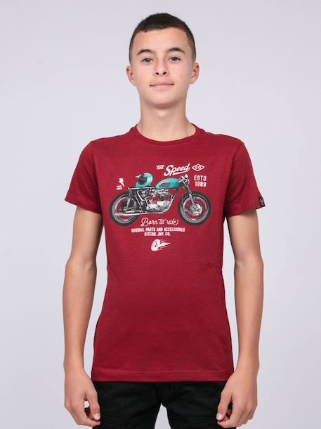 T-shirt col rond pur coton joumea garçon Bordeaux+Gris foncé+Kaki 1 - vertbaudet enfant 