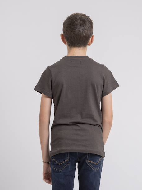 T-shirt col rond pur coton jagny garçon Bleu marine+Cognac+Gris 10 - vertbaudet enfant 