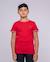 T-shirt col rond pur coton nobiwone garçon Gris chine+Rouge 5 - vertbaudet enfant 