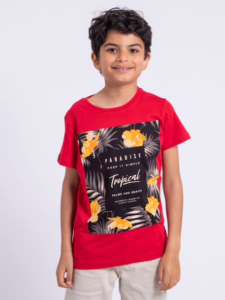 T-shirt manches courtes col rond pur coton noctavio garçon Gris+Kaki+Rouge 9 - vertbaudet enfant 
