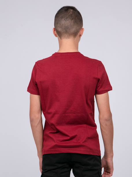T-shirt col rond pur coton jordy garçon Bordeaux+Gris foncé+Kaki 2 - vertbaudet enfant 