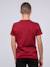 T-shirt col rond pur coton jordy garçon Bordeaux+Gris foncé+Kaki 2 - vertbaudet enfant 