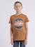 T-shirt col rond pur coton numatis garçon Bleu marine+Camel+Vert 5 - vertbaudet enfant 