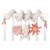 Spirale d'activité little farm Multicolore+Rose, beige+Rose, beige, bois 4 - vertbaudet enfant 