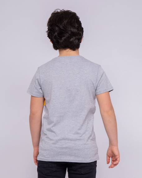 T-shirt col rond pur coton noware garçon Gris chine+Rouge 2 - vertbaudet enfant 