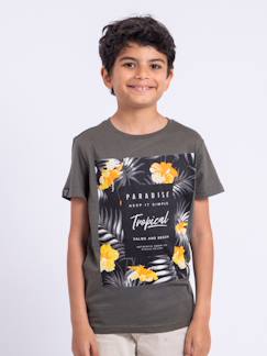 Garçon-T-shirt, polo, sous-pull-T-shirt-T-shirt manches courtes col rond pur coton noctavio garçon