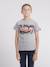 T-shirt col rond pur coton jardin garçon Bleu marine+Gris+Noir 5 - vertbaudet enfant 