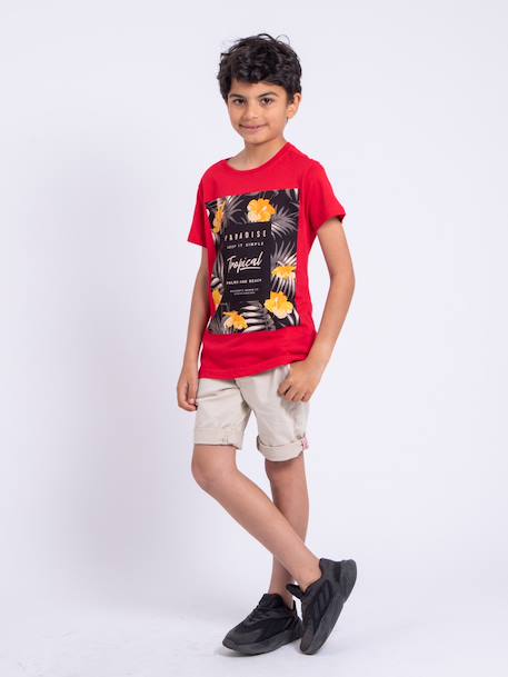 T-shirt manches courtes col rond pur coton noctavio garçon Gris+Kaki+Rouge 12 - vertbaudet enfant 