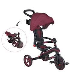 Tricycle Évolutif 2 En 1 Early Fun - Enfant 24+ Mois - Avec Poignée Parentale