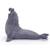 Figurine eléphant de mer Gris 5 - vertbaudet enfant 