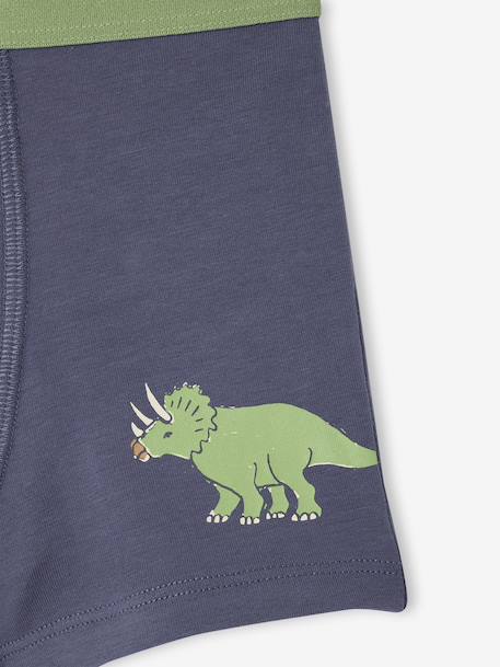Lot 5 Boxers Garçon Dinosaures bleu ardoise 8 - vertbaudet enfant 