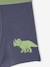 Lot 5 Boxers Garçon Dinosaures bleu ardoise 8 - vertbaudet enfant 