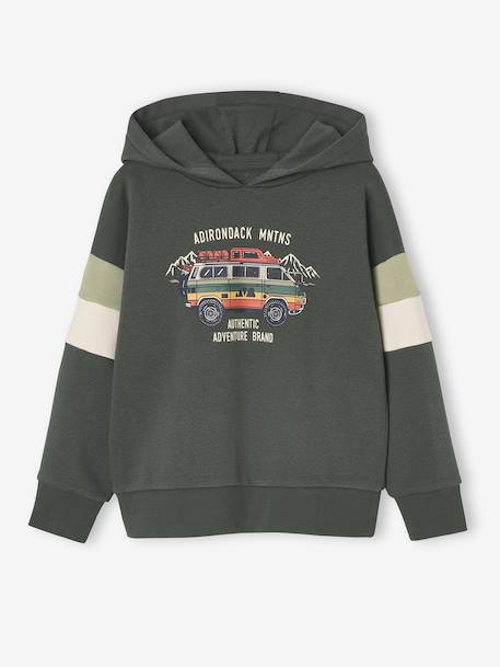 Sweat garçon à capuche motif placé lichen+noix de pécan 1 - vertbaudet enfant 