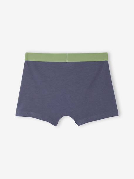 Lot 5 Boxers Garçon Dinosaures bleu ardoise 7 - vertbaudet enfant 