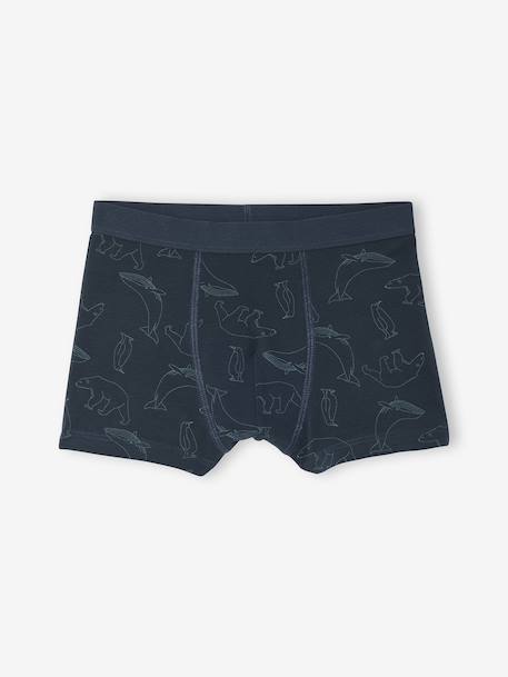 Lot de 7 Boxers Garçon Rayés et Imprimés Ours vert 6 - vertbaudet enfant 